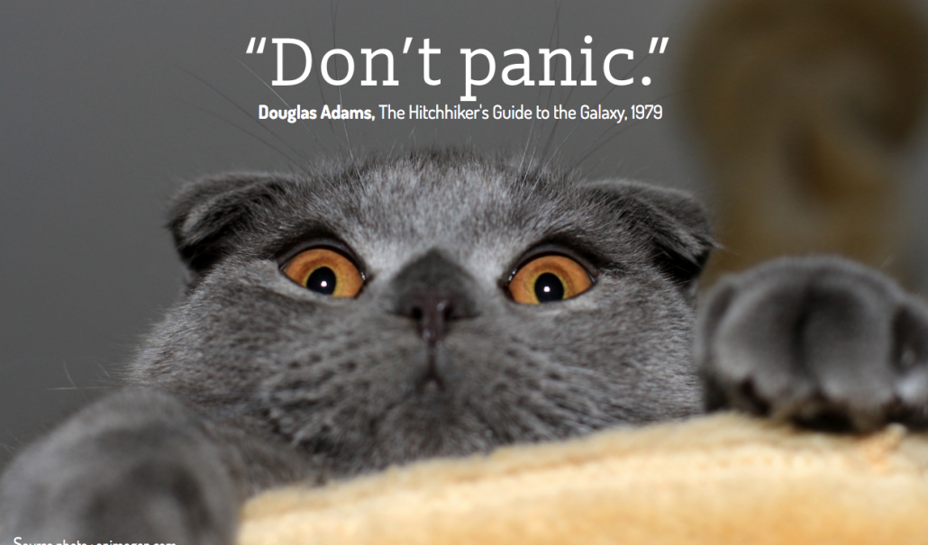 Don't Panic, meilleur conseil sur internet